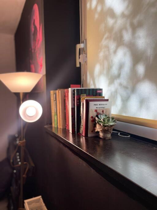 Pallet Bed With Lights Small Studio Cluj-Napoca Exterior foto